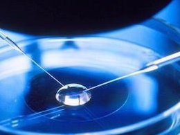 上海单身男性能不能做试管，未婚男士做试管的限制及注意事项