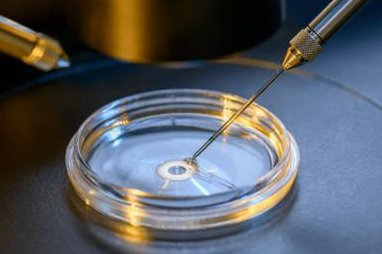 2026临沂市人民医院试管婴儿成功率一览，附试管医生推荐