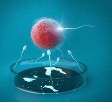 四川地区有哪些私立的机构可以做试管技术？多囊卵巢只取出2个卵泡做三代试管成功率？