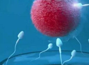 枣庄市生孩子做染色体检查有必要吗，筛查一次大概需要多少钱？