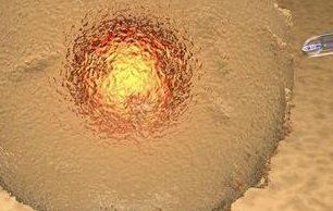 绍兴地区有哪些私立的机构可以做试管技术？做试管婴儿在长沙可以做吗？成功率高吗？